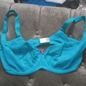 Cleo Teal Lace Bra with Pink Accent